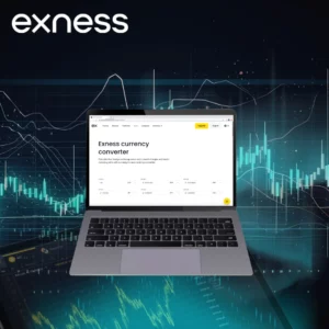 Exness Currency Converter and Exchange Rates