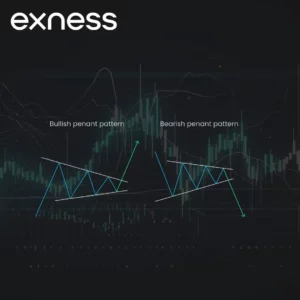 How to Change Currency in Exness